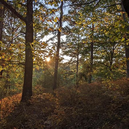 Loblolly Pines #3 Adventure Aframe Villa Eureka Springs Esterno foto