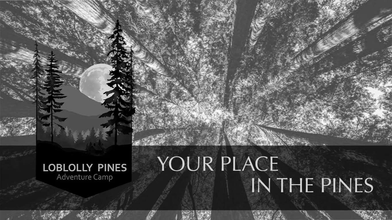 Loblolly Pines #3 Adventure Aframe Villa Eureka Springs Esterno foto